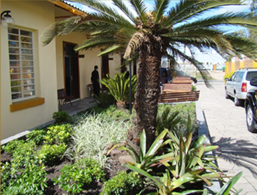 Veja as capelas do memorial Angelus Pax